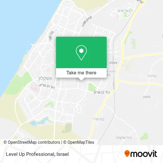 Level Up Professional map