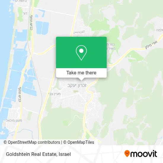 Goldshtein Real Estate map