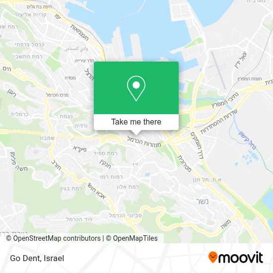 Go Dent map