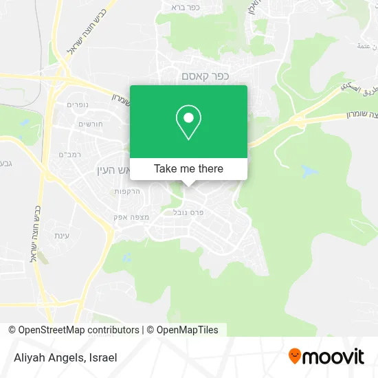 Aliyah Angels map