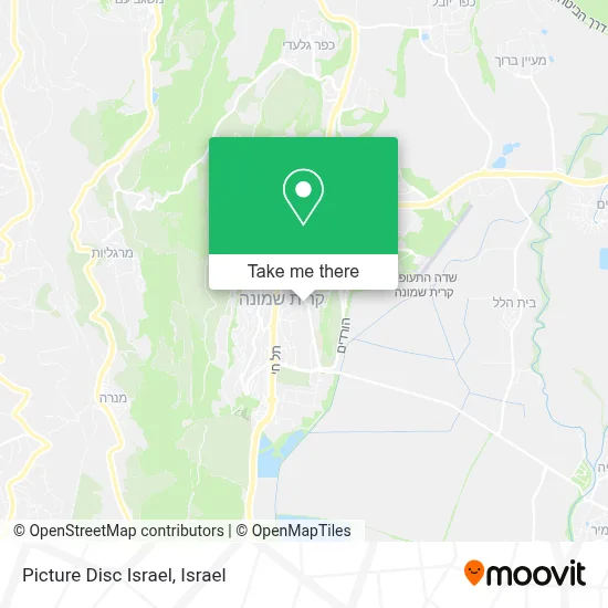 Picture Disc Israel map