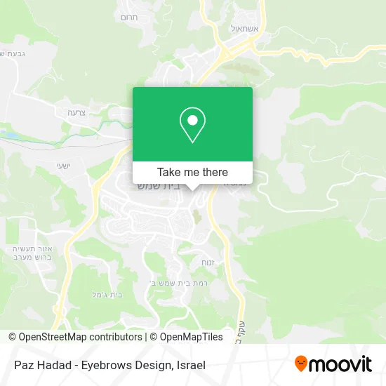 Paz Hadad - Eyebrows Design map