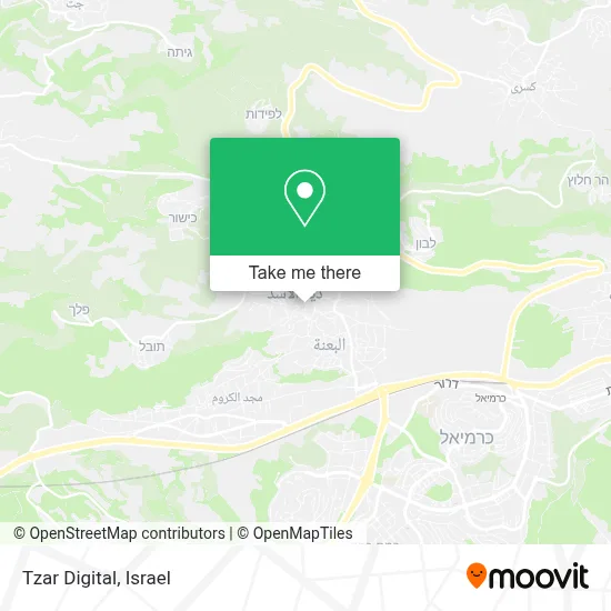 Tzar Digital map