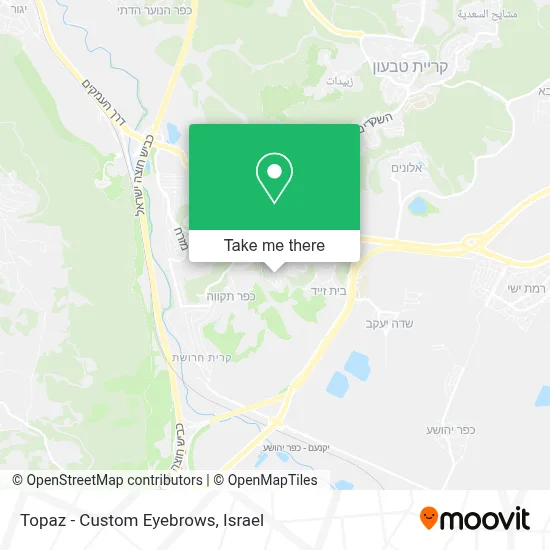 Topaz - Custom Eyebrows map