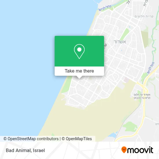 Bad Animal map