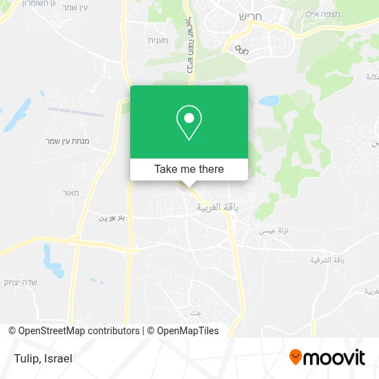 Tulip map