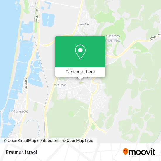 Brauner map