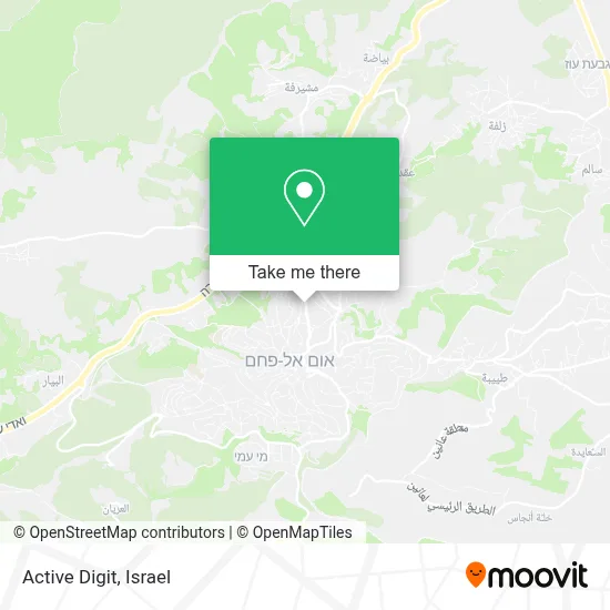 Active Digit map