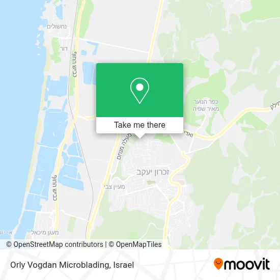 Orly Vogdan Microblading map