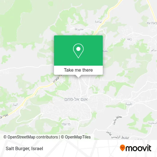 Salt Burger map