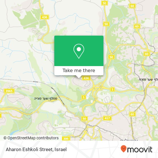Карта Aharon Eshkoli Street