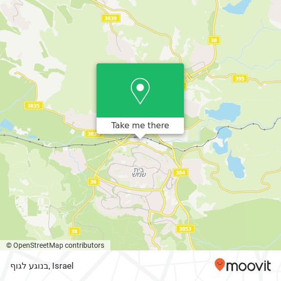 Карта בנוגע לגוף, בית שמש, ירושלים, 99000