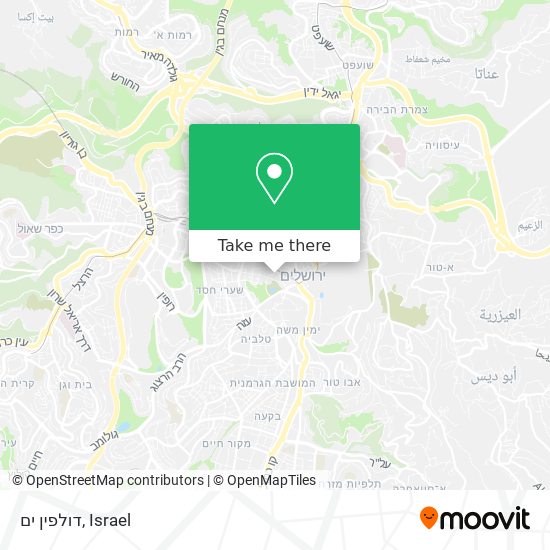 דולפין ים map