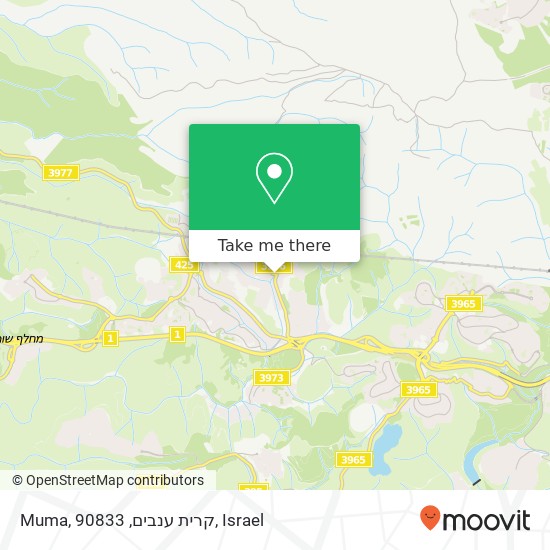 Карта Muma, קרית ענבים, 90833