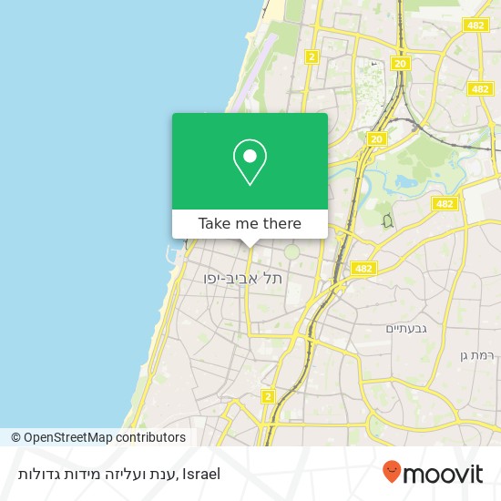 Карта ענת ועליזה מידות גדולות, אבן גבירול תל אביב-יפו, תל אביב, 64047