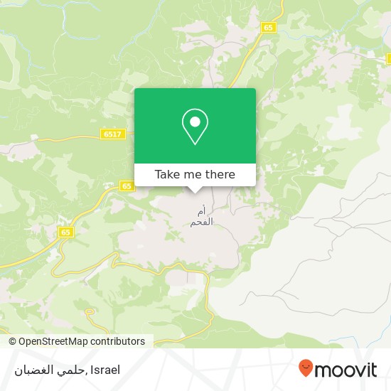 حلمي الغضبان map