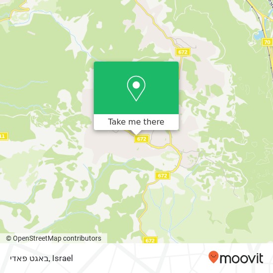 Карта באגט פאדי, 672 דאלית אל כרמל, חיפה, 30056