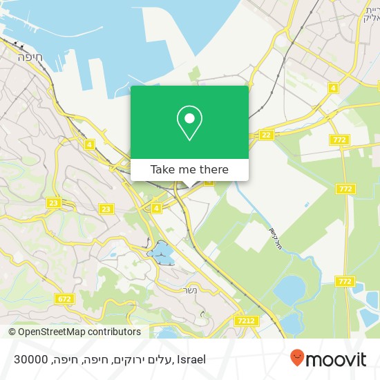 עלים ירוקים, חיפה, חיפה, 30000 map