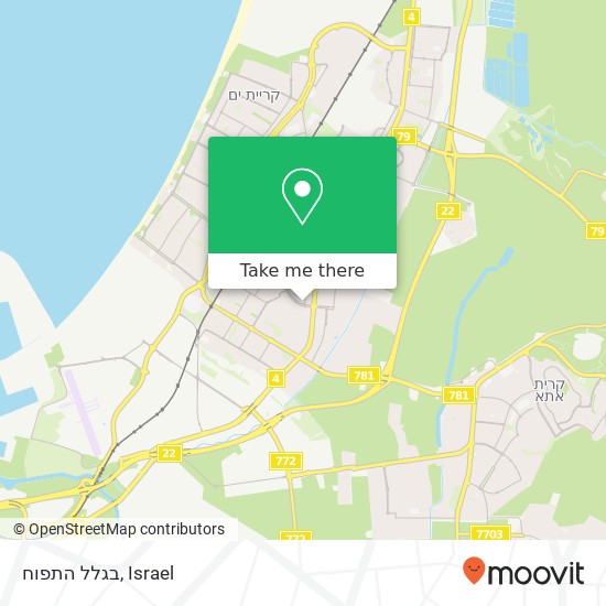 Карта בגלל התפוח, שדרות גושן משה קרית מוצקין, חיפה, 26310