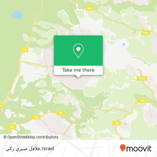 فلافل صبري زكي, טמרה, עכו, 30811 map