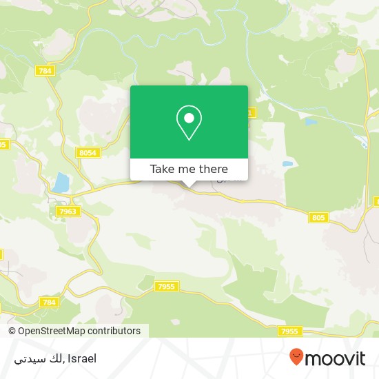 Карта لك سيدتي, 805 סח'נין, עכו, 20173