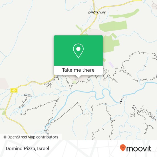 Domino Pizza map