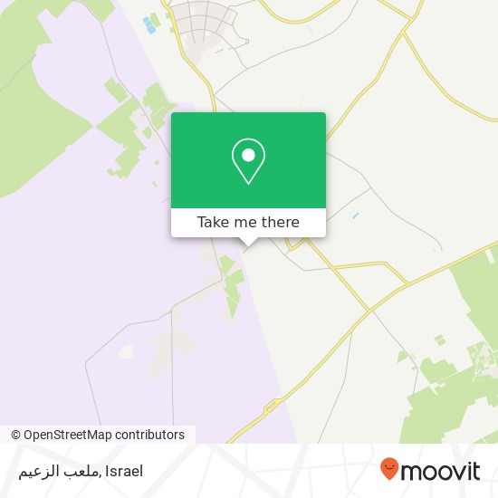 ملعب الزعيم map