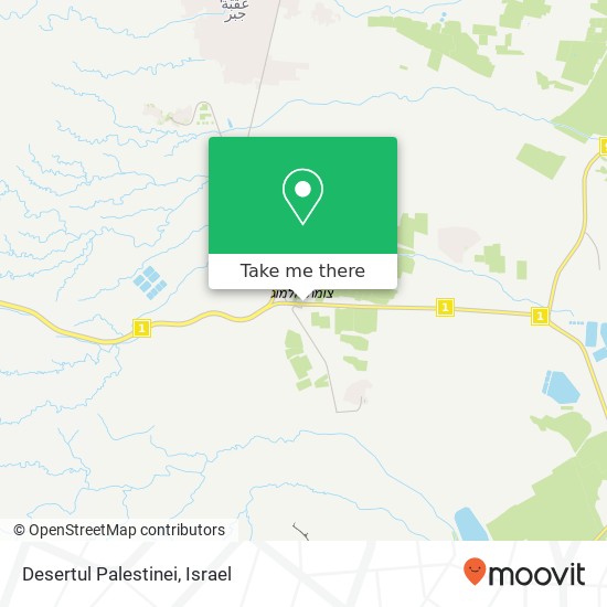 Карта Desertul Palestinei