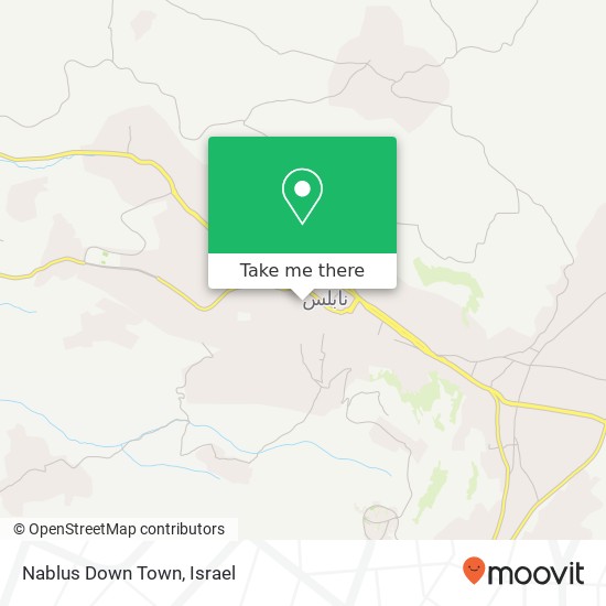 Nablus Down Town map
