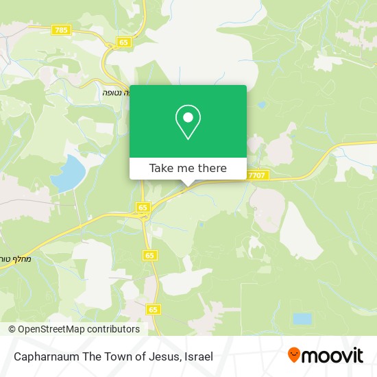 Capharnaum The Town of Jesus map