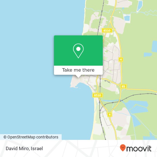 David Miro map