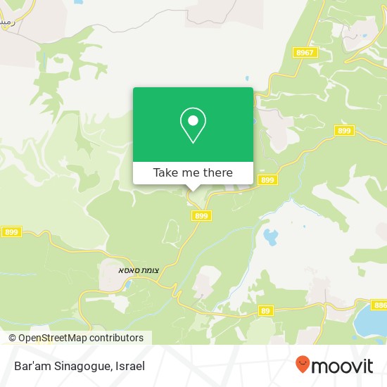 Bar'am Sinagogue map