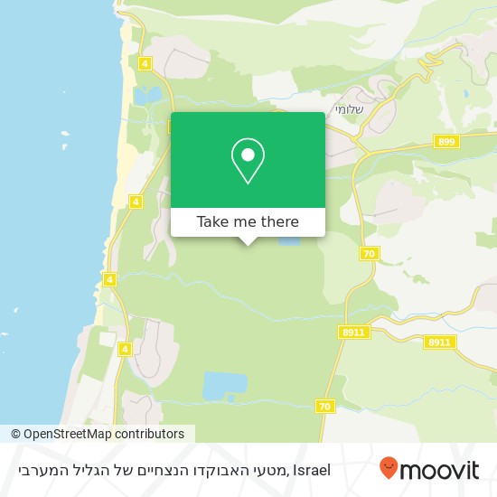 מטעי האבוקדו הנצחיים של הגליל המערבי map