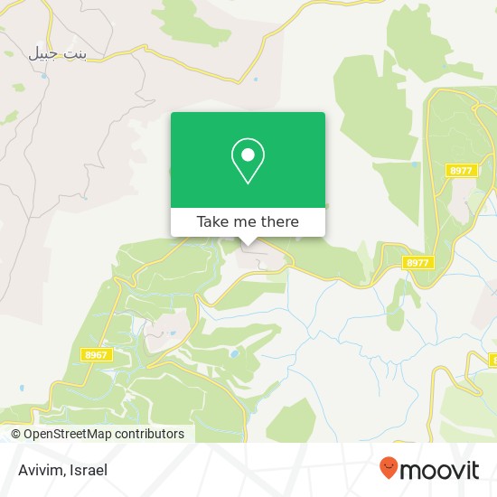 Avivim map