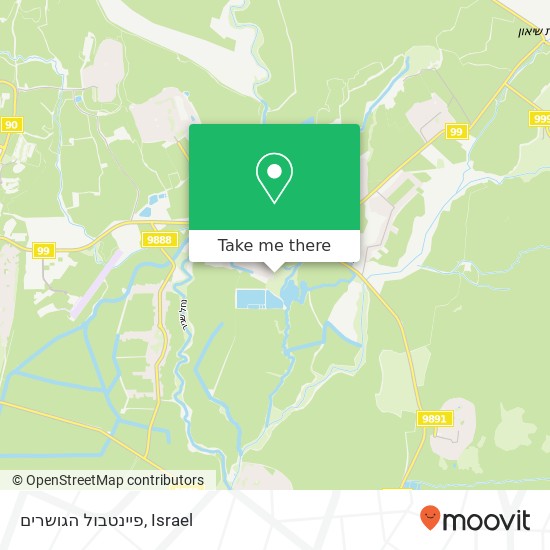 פיינטבול הגושרים map