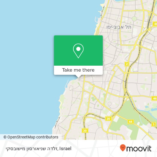 זלדה שניאורסון מישובסקי map