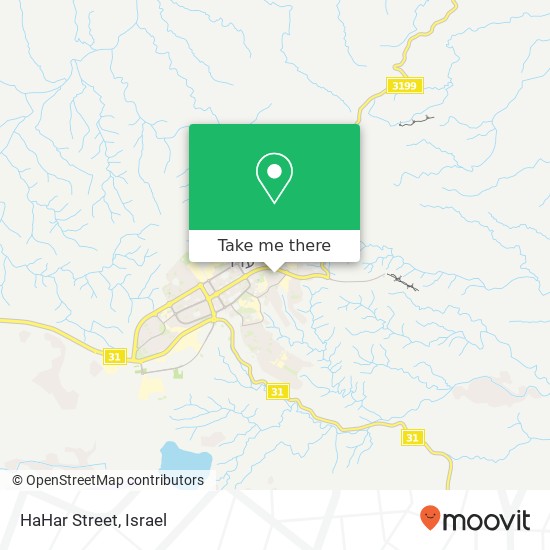 HaHar Street map