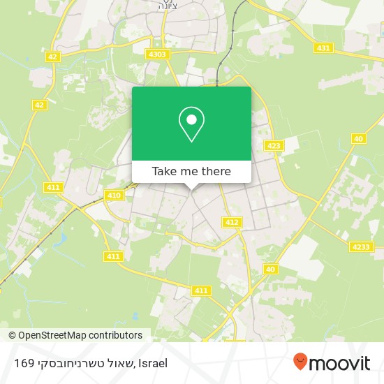 שאול טשרניחובסקי 169 map