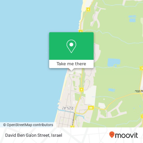 David Ben Ga'on Street map