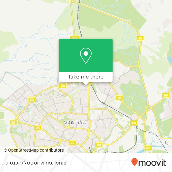 Карта גיורא יוספטל/הכנסת