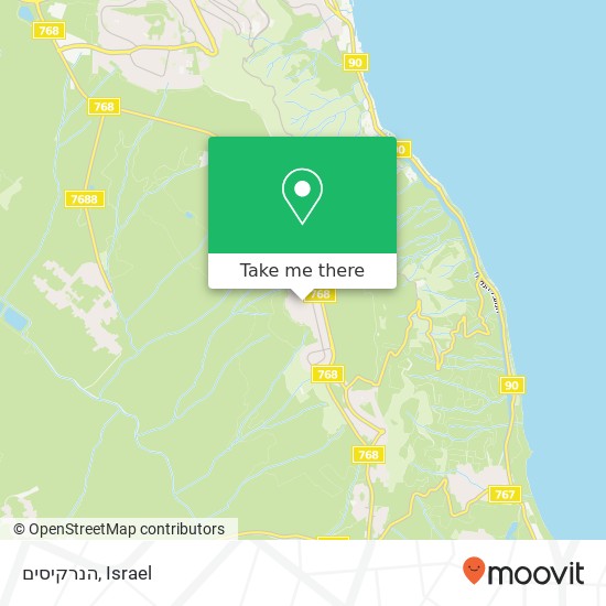 הנרקיסים map