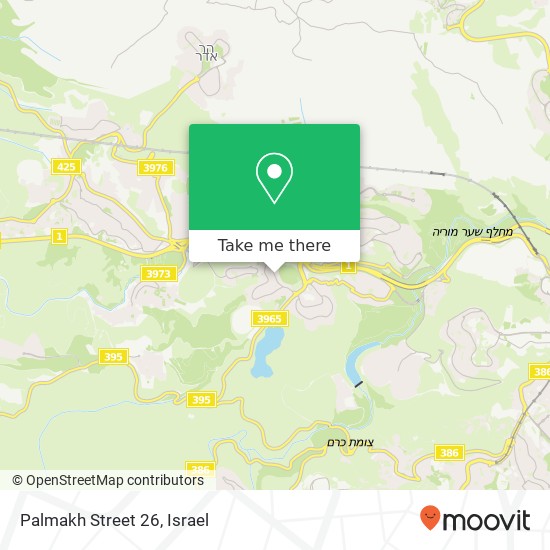 Palmakh Street 26 map