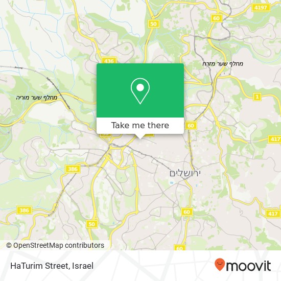 HaTurim Street map