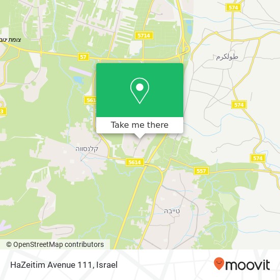 Карта HaZeitim Avenue 111