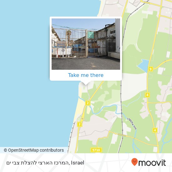 המרכז הארצי להצלת צבי ים map