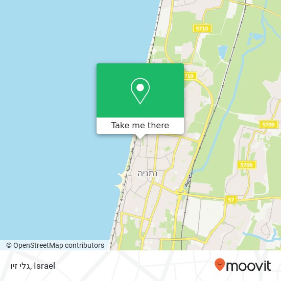 גלי זיו map