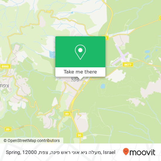 Spring, מעלה גיא אוני ראש פינה, צפת, 12000 map