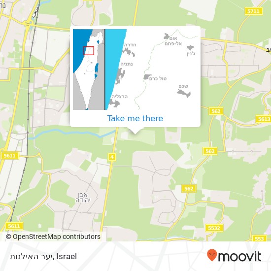 יער האילנות map