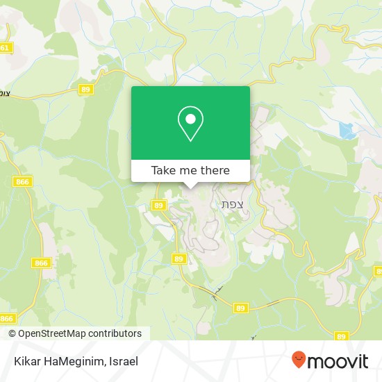 Kikar HaMeginim map