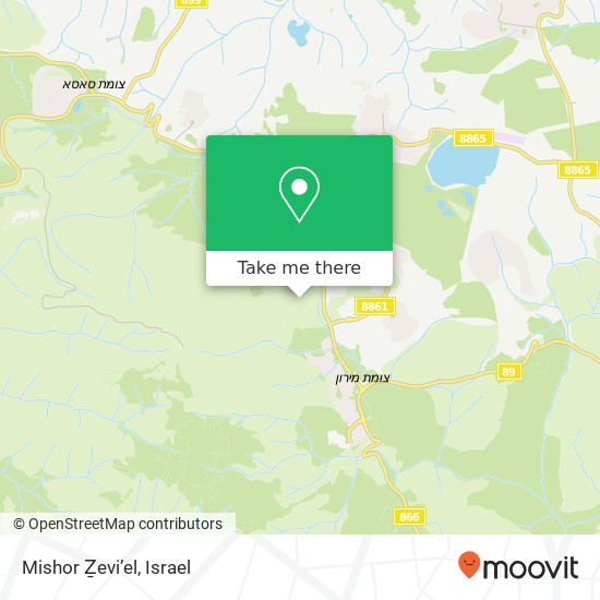 Mishor Ẕevi’el map